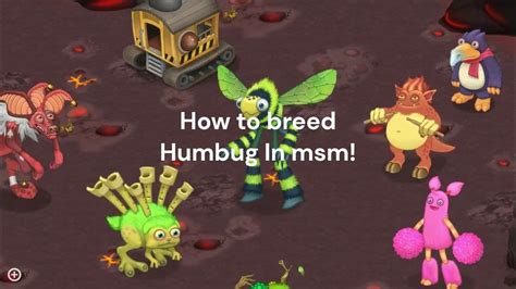 With a bit of luck, you might be on your way to hatching an Epic Humbug egg. . How to breed humbug msm